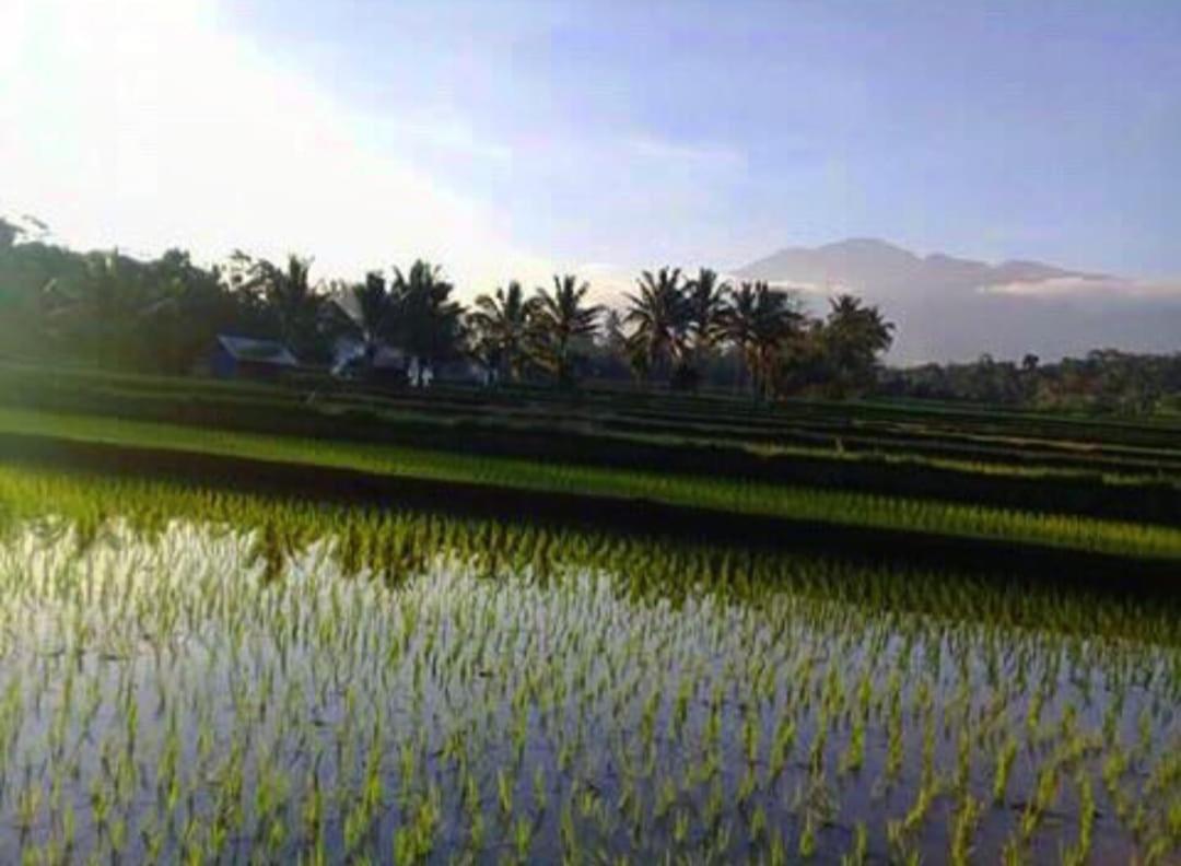 Апартаменты Sky Garden Lombok Тетебату Экстерьер фото